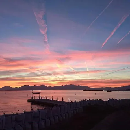 La Presqu'ile T2 Palm Moure Rouge Διαμέρισμα